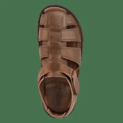 City><noscript><img width=