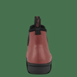 Outdoor><noscript><img width=